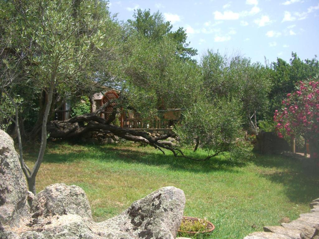 Jaddhu Agriturismo Country Resort Arzachena Buitenkant foto