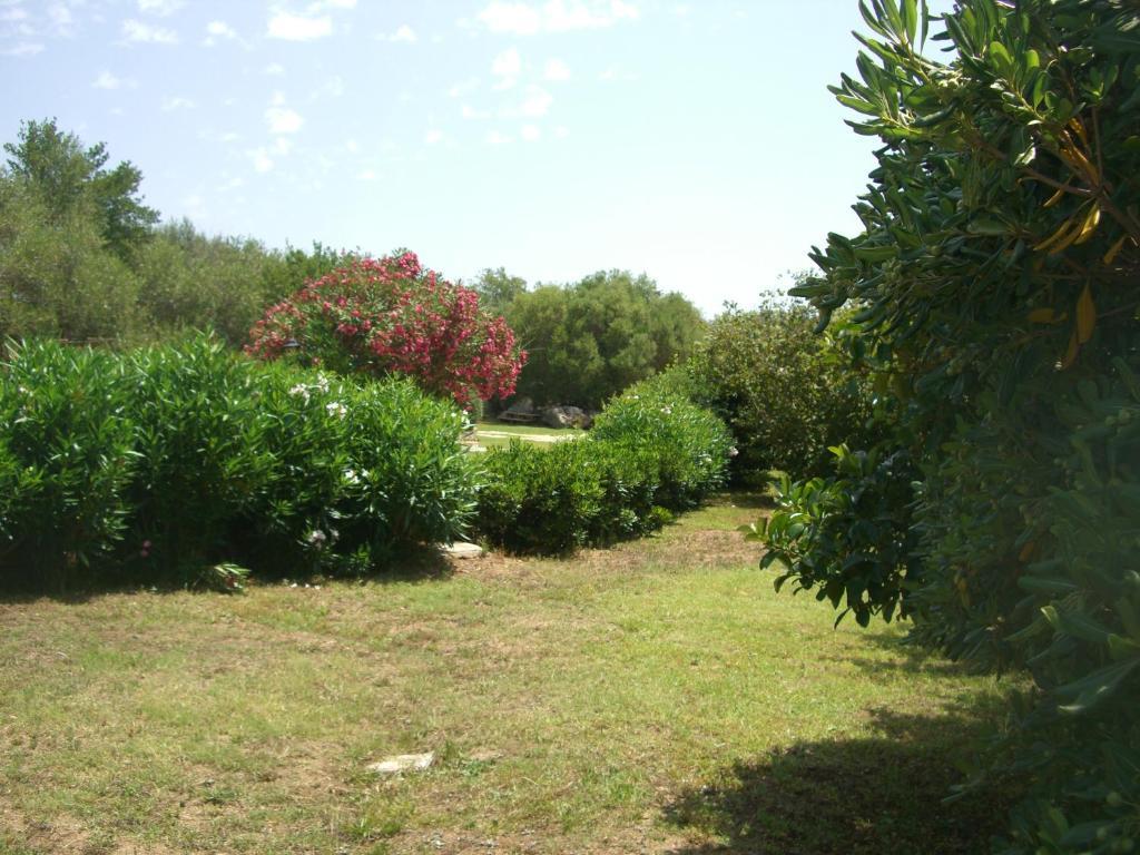 Jaddhu Agriturismo Country Resort Arzachena Buitenkant foto