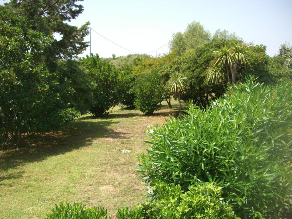Jaddhu Agriturismo Country Resort Arzachena Buitenkant foto