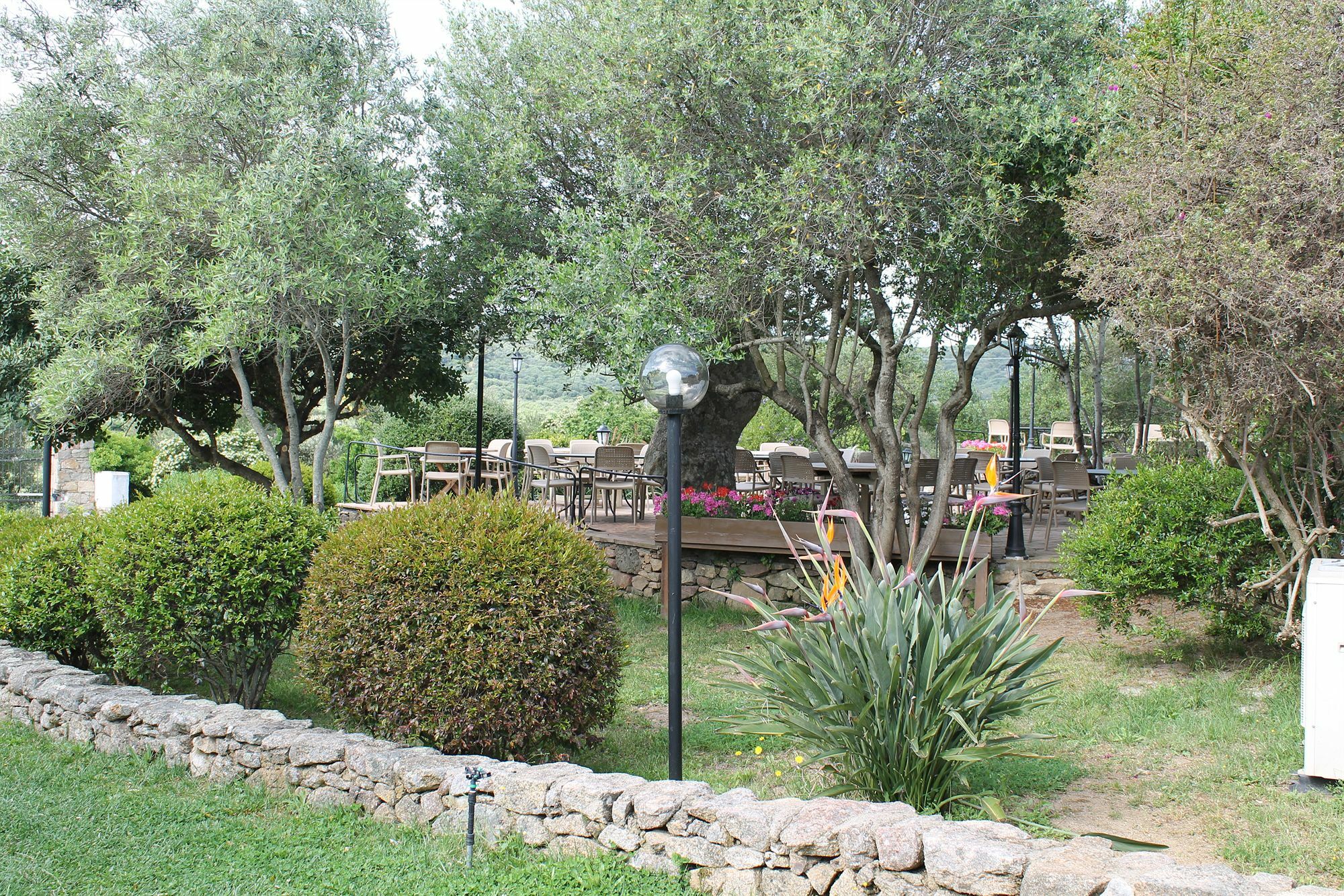 Jaddhu Agriturismo Country Resort Arzachena Buitenkant foto